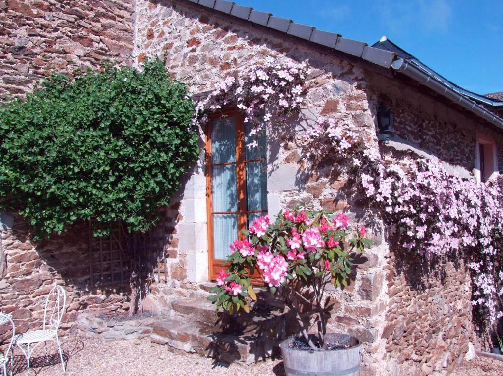 Domaine De Lasfonds Rieupeyroux  Værelse billede